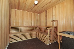 sauna-Feb-2023 